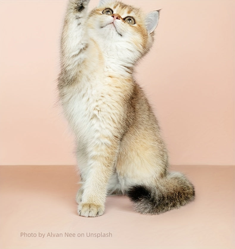 Pet Grooming Clippers with LED Light Support, Safe Low Noise, USB And Battery Longevity., Dog Clippers for Grooming, Pet Nail Clippers with Light, Dog Clippers, Dog Clippers for Grooming Professional, Pet Clippers Cordless, P