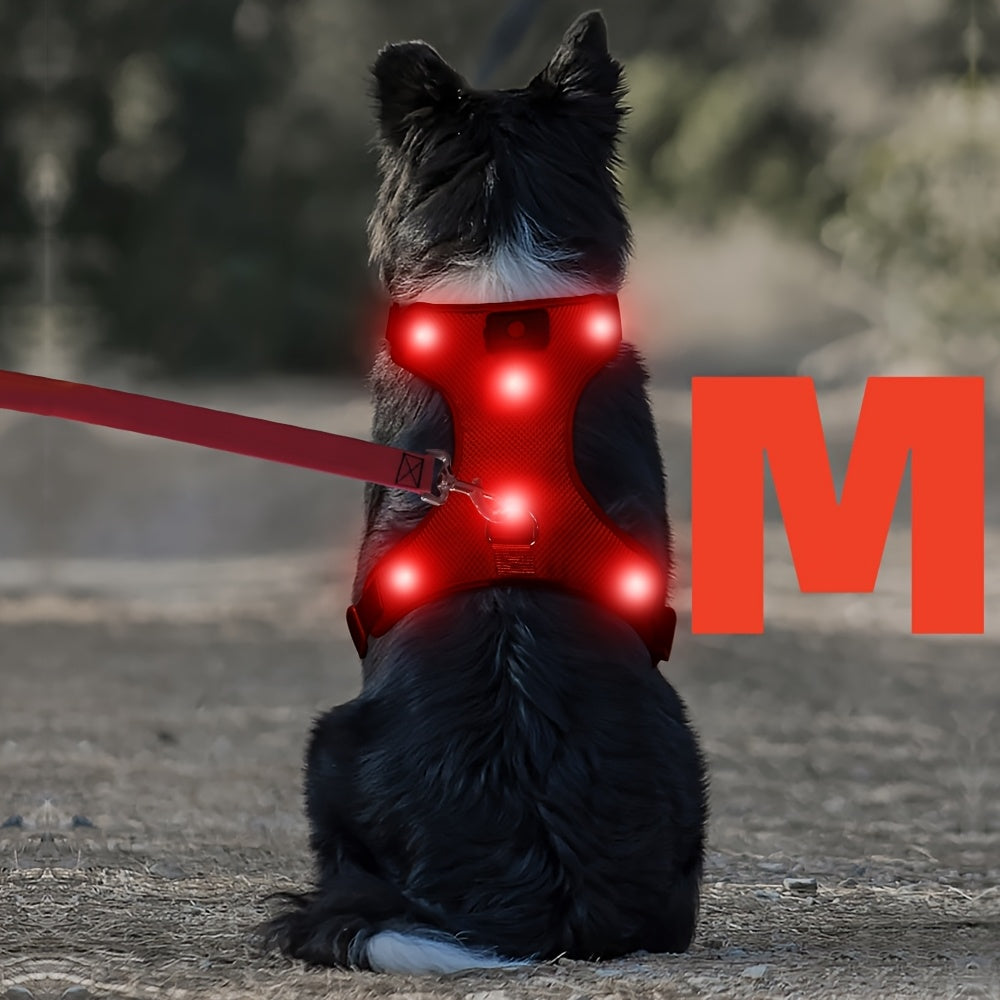 Light Up LED Dog Harness - No Pull Rechargeable Dog Vest with Detachable Battery, Washable Nylon Harness for Nighttime Walking & Camping, Multi-Color Options for Small Medium Large Dogs, Reflective Safety Features, Outdoor Pe