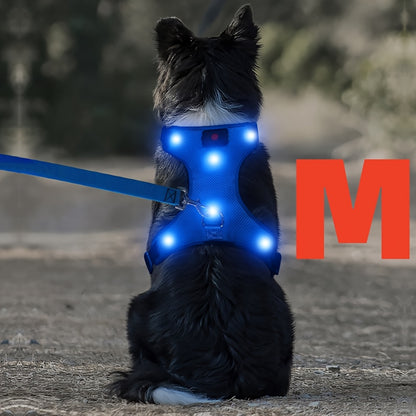 Light Up LED Dog Harness - No Pull Rechargeable Dog Vest with Detachable Battery, Washable Nylon Harness for Nighttime Walking & Camping, Multi-Color Options for Small Medium Large Dogs, Reflective Safety Features, Outdoor Pe