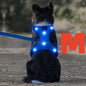 Light Up LED Dog Harness - No Pull Rechargeable Dog Vest with Detachable Battery, Washable Nylon Harness for Nighttime Walking & Camping, Multi-Color Options for Small Medium Large Dogs, Reflective Safety Features, Outdoor Pe