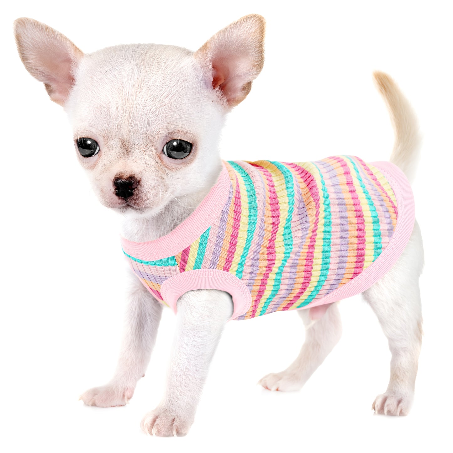 Paiaite Soft Ribbed Dog Vest - Pink Striped Tank Top for Small to Extra Small Breeds, Easy Pullover Style, Hand Wash Only, Dog Tank Top