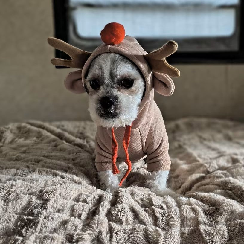 Fun & Fruity Apparel