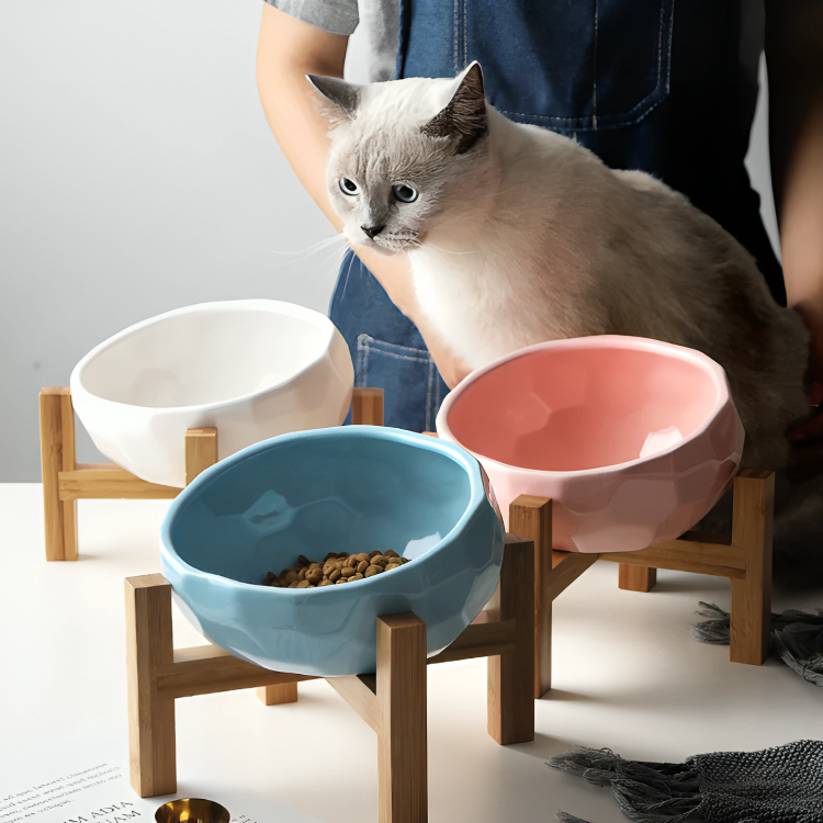 Ceramic Bowl Oblique