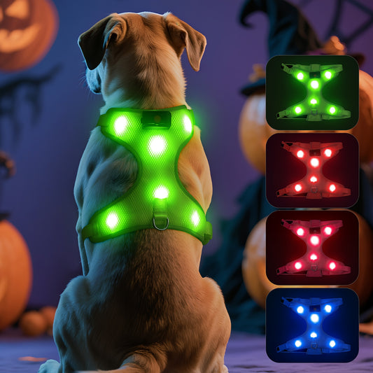 Light Up LED Dog Harness - No Pull Rechargeable Dog Vest with Detachable Battery, Washable Nylon Harness for Nighttime Walking & Camping, Multi-Color Options for Small Medium Large Dogs, Reflective Safety Features, Outdoor Pe