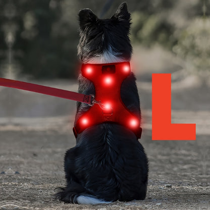 Light Up LED Dog Harness - No Pull Rechargeable Dog Vest with Detachable Battery, Washable Nylon Harness for Nighttime Walking & Camping, Multi-Color Options for Small Medium Large Dogs, Reflective Safety Features, Outdoor Pe