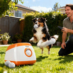 Smart Fetch Launcher