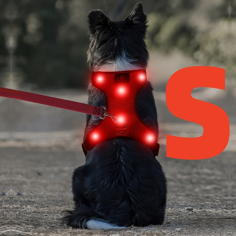 Light Up LED Dog Harness - No Pull Rechargeable Dog Vest with Detachable Battery, Washable Nylon Harness for Nighttime Walking & Camping, Multi-Color Options for Small Medium Large Dogs, Reflective Safety Features, Outdoor Pe