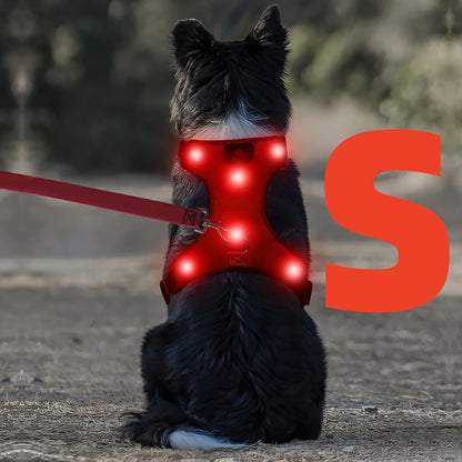 Light Up LED Dog Harness - No Pull Rechargeable Dog Vest with Detachable Battery, Washable Nylon Harness for Nighttime Walking & Camping, Multi-Color Options for Small Medium Large Dogs, Reflective Safety Features, Outdoor Pe