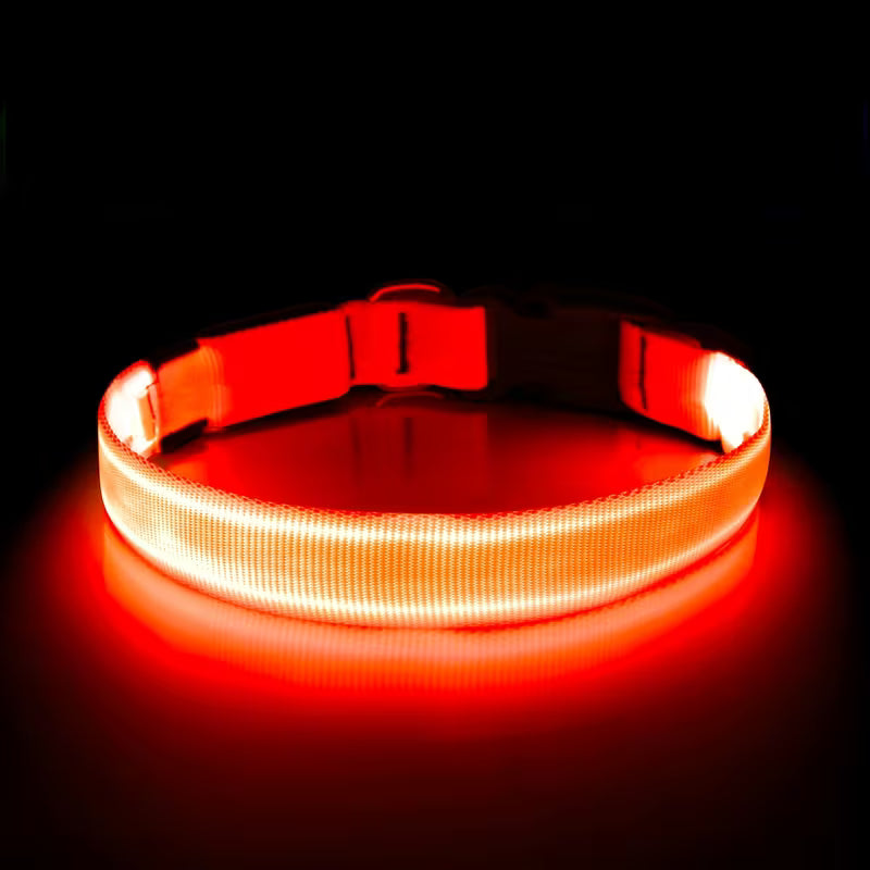 LED Luminous Collar