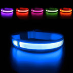 LED Luminous Collar