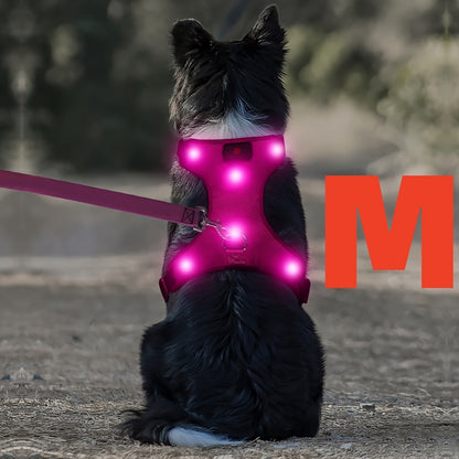 Light Up LED Dog Harness - No Pull Rechargeable Dog Vest with Detachable Battery, Washable Nylon Harness for Nighttime Walking & Camping, Multi-Color Options for Small Medium Large Dogs, Reflective Safety Features, Outdoor Pe