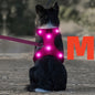 Light Up LED Dog Harness - No Pull Rechargeable Dog Vest with Detachable Battery, Washable Nylon Harness for Nighttime Walking & Camping, Multi-Color Options for Small Medium Large Dogs, Reflective Safety Features, Outdoor Pe