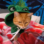 Fun & Fruity Apparel