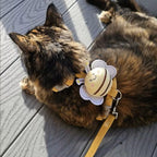 FelineBee Winged Harness