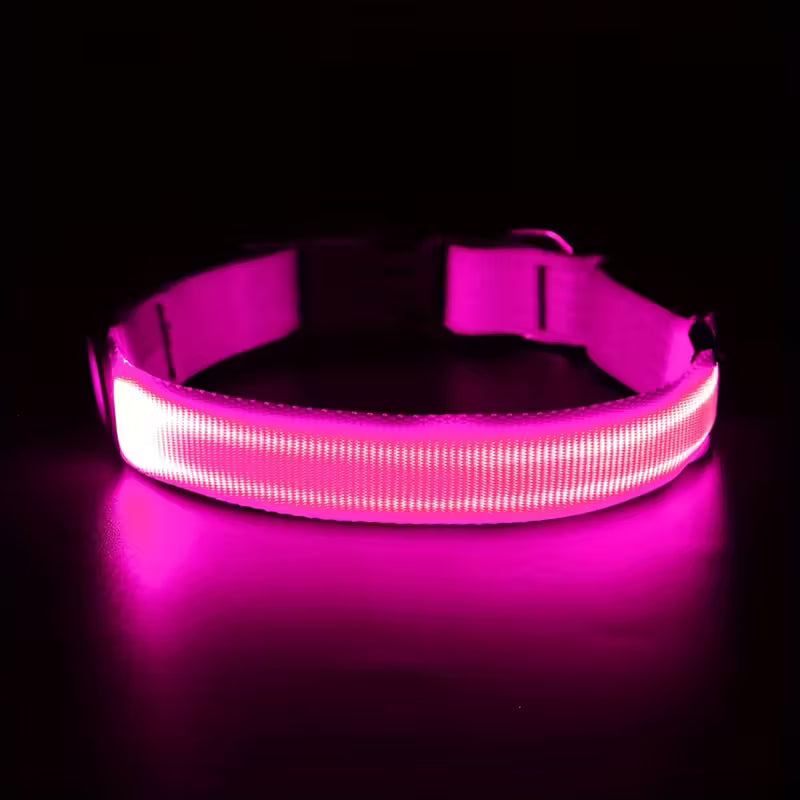LED Luminous Collar