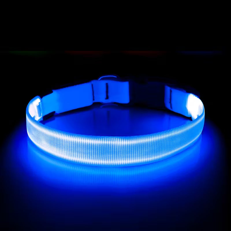 LED Luminous Collar