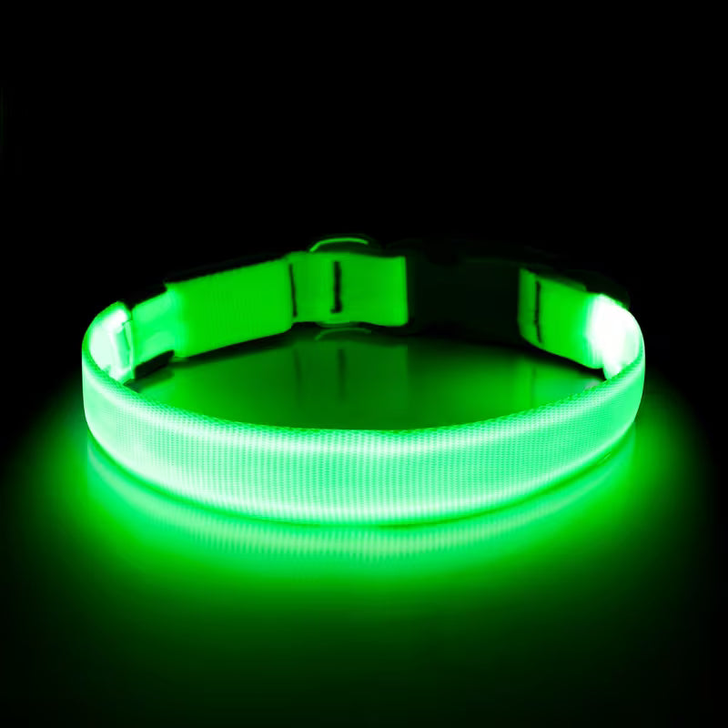 LED Luminous Collar