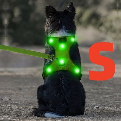 Light Up LED Dog Harness - No Pull Rechargeable Dog Vest with Detachable Battery, Washable Nylon Harness for Nighttime Walking & Camping, Multi-Color Options for Small Medium Large Dogs, Reflective Safety Features, Outdoor Pe