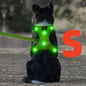 Light Up LED Dog Harness - No Pull Rechargeable Dog Vest with Detachable Battery, Washable Nylon Harness for Nighttime Walking & Camping, Multi-Color Options for Small Medium Large Dogs, Reflective Safety Features, Outdoor Pe