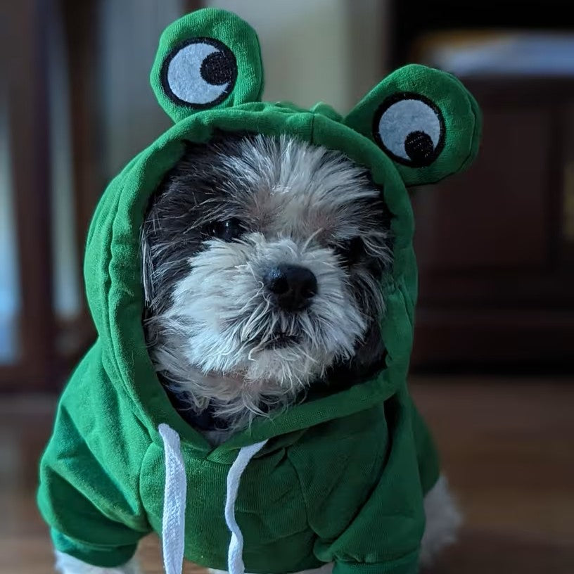 Fun & Fruity Apparel