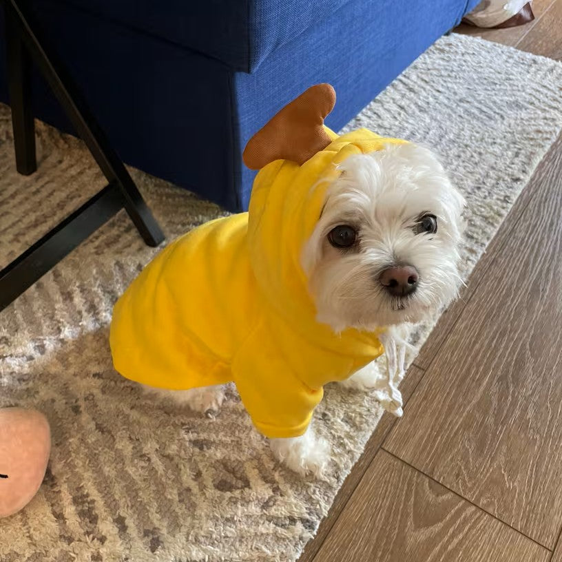 Fun & Fruity Apparel