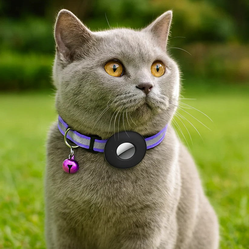 Reflective Anti-Lost Collar