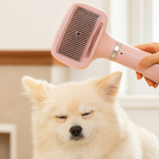 One-click Hair removal Dryer