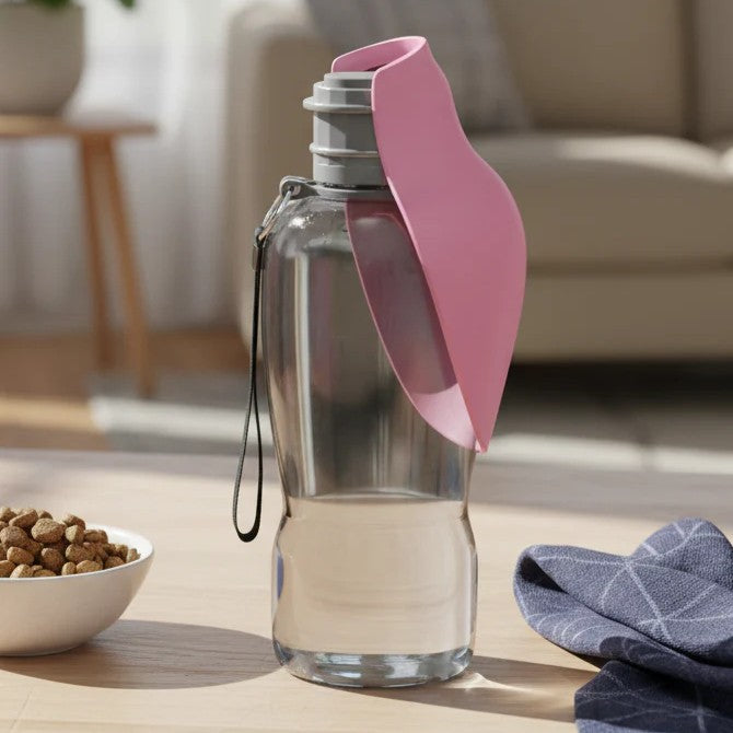 On the Go Water Bottle