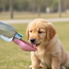 On the Go Water Bottle