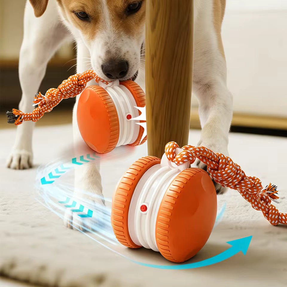 Rechargeable Rolling Ball