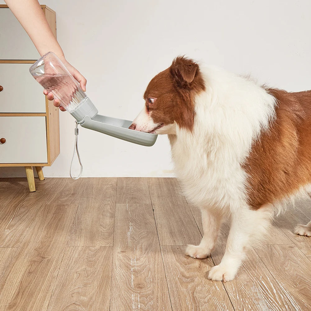 Portable Large Dog Water Bottle Outdoor Travel Walking Foldable Drinking Dispenser for Small Dogs Cats Labrador Pug Pet Supplies