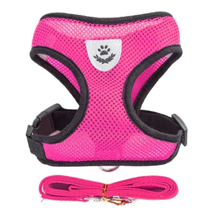 Harness Vest