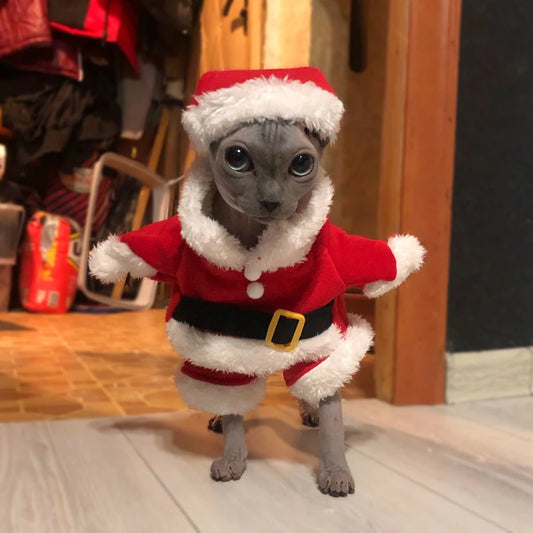 Funny Pet Cat Santa Claus Clothes Christmas Costume For Small Medium Cats Dog Cute Kitten Cosplay Set Photo Props Party Outfits