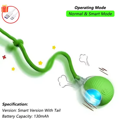 Smart Pet Ball