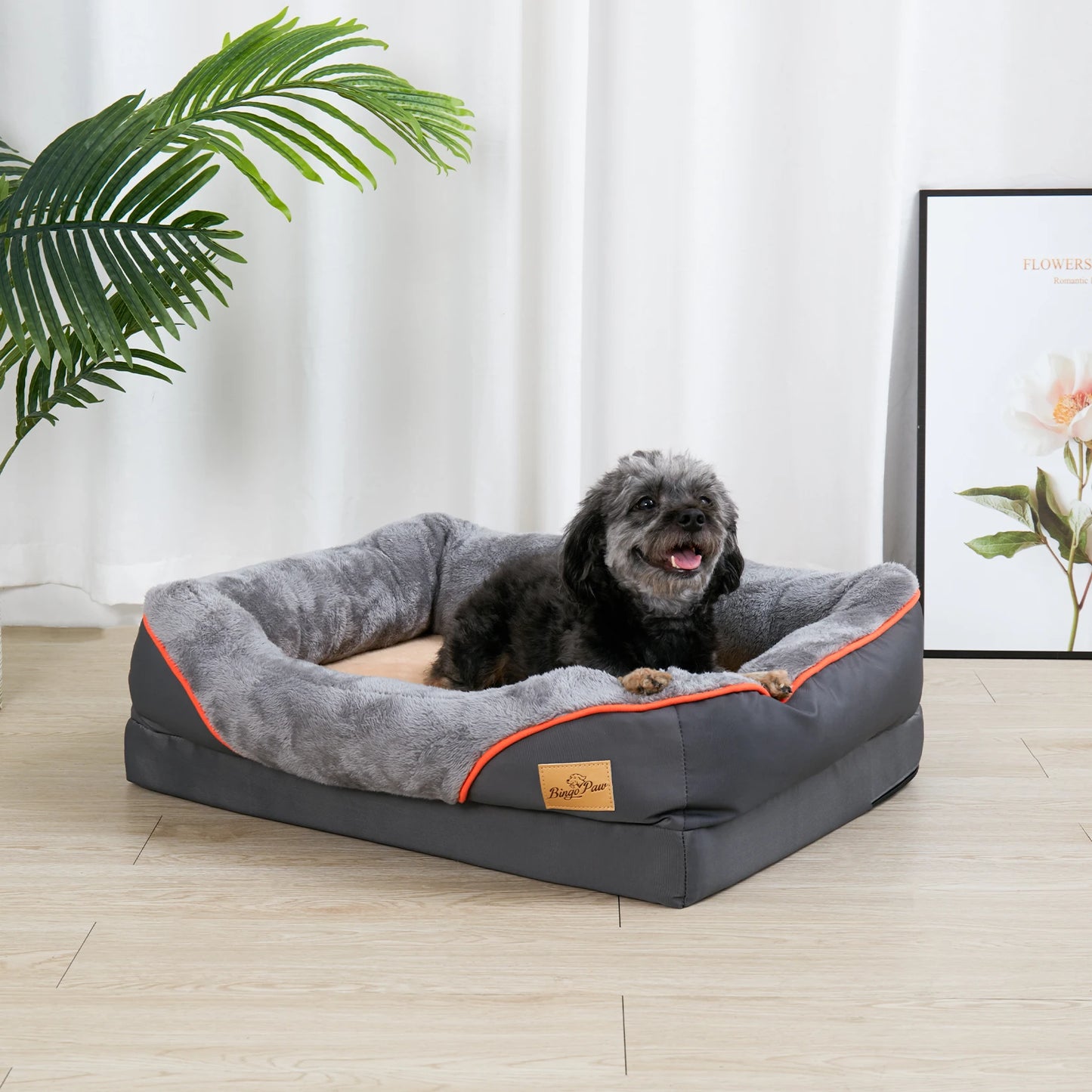 Orthopedic Foam Bed with Removable Cover