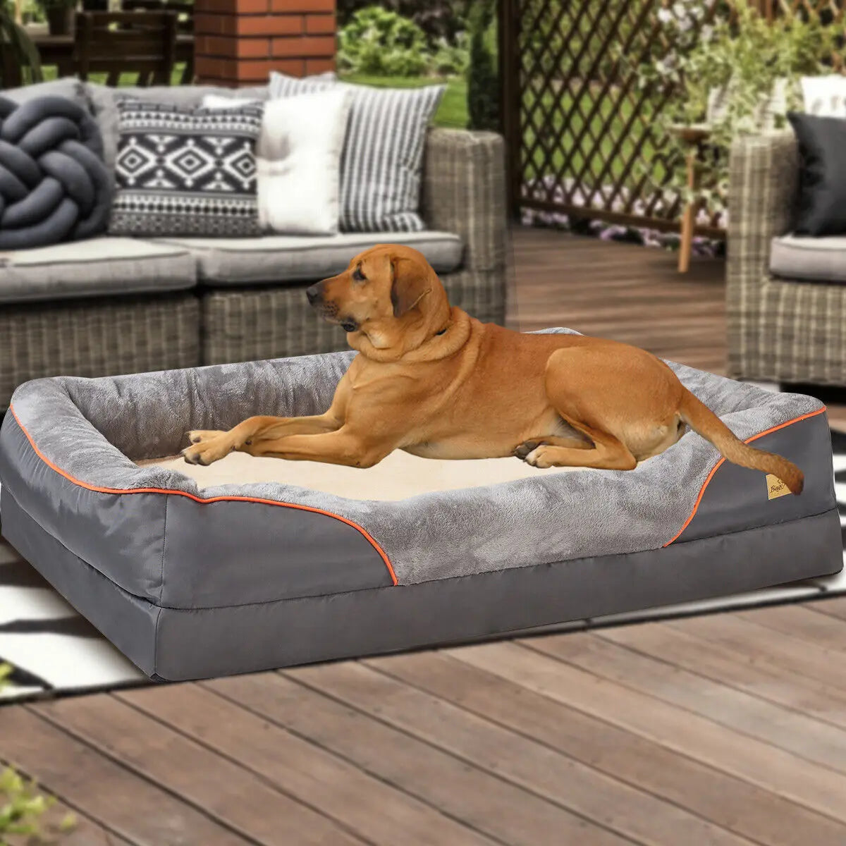 Orthopedic Foam Bed with Removable Cover