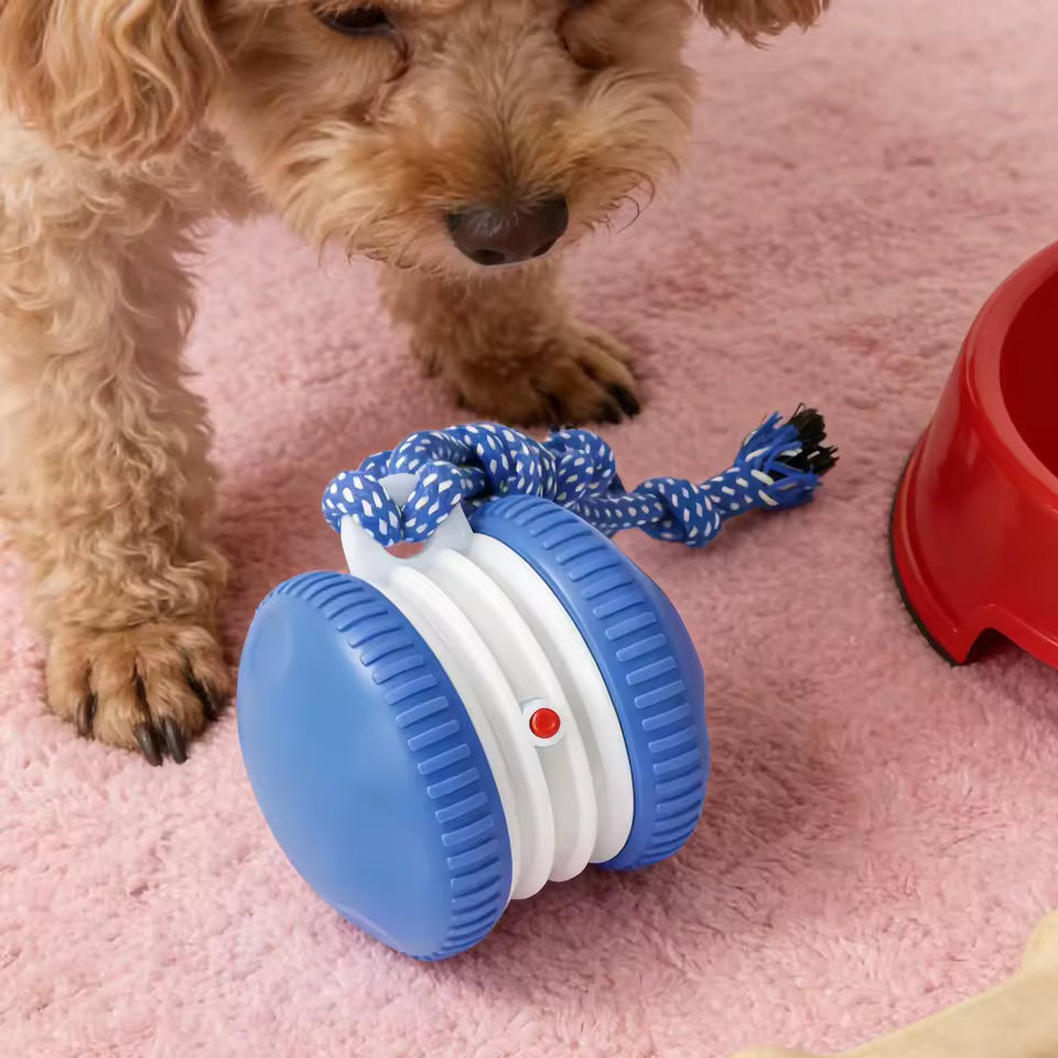 Rechargeable Rolling Ball
