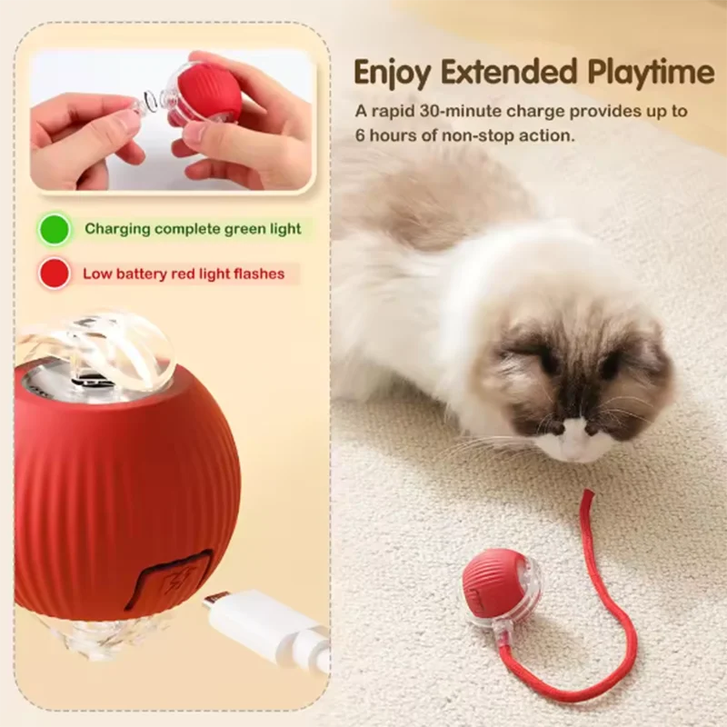 Smart Pet Ball