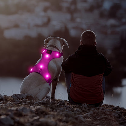 Light Up LED Dog Harness - No Pull Rechargeable Dog Vest with Detachable Battery, Washable Nylon Harness for Nighttime Walking & Camping, Multi-Color Options for Small Medium Large Dogs, Reflective Safety Features, Outdoor Pe