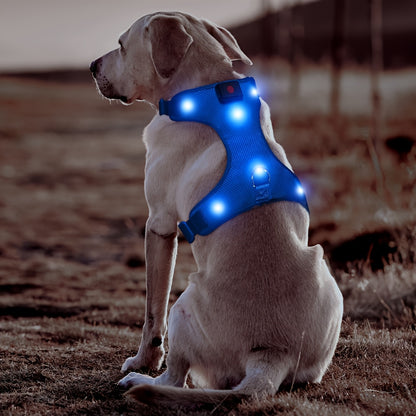Light Up LED Dog Harness - No Pull Rechargeable Dog Vest with Detachable Battery, Washable Nylon Harness for Nighttime Walking & Camping, Multi-Color Options for Small Medium Large Dogs, Reflective Safety Features, Outdoor Pe