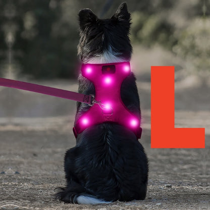 Light Up LED Dog Harness - No Pull Rechargeable Dog Vest with Detachable Battery, Washable Nylon Harness for Nighttime Walking & Camping, Multi-Color Options for Small Medium Large Dogs, Reflective Safety Features, Outdoor Pe