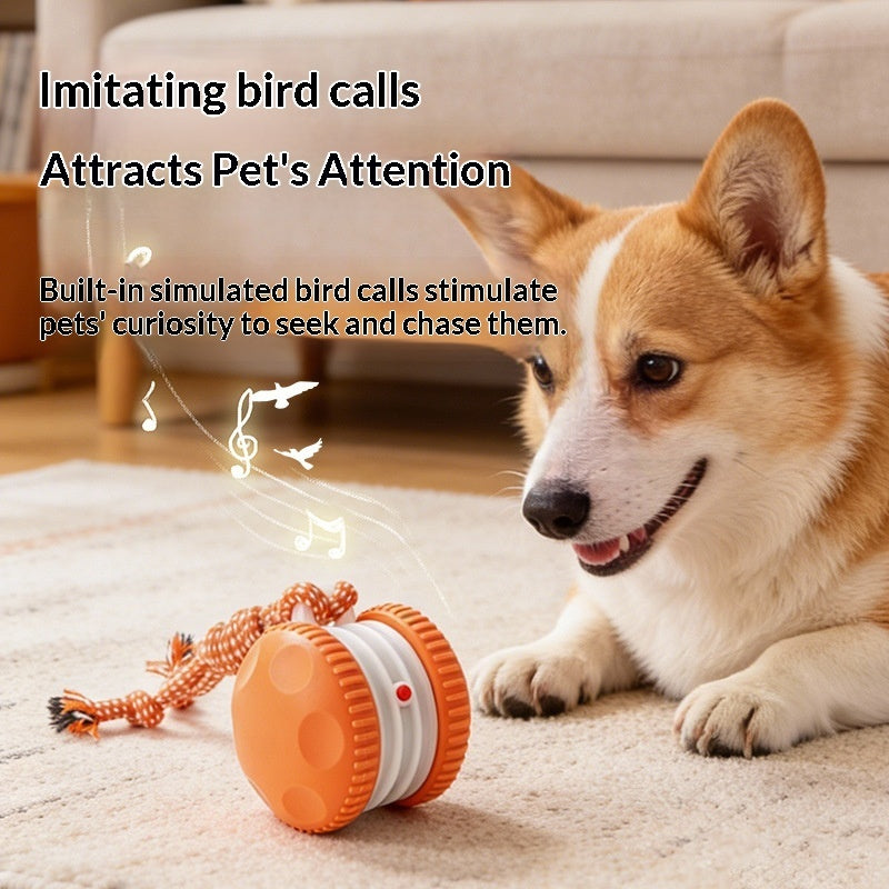 Rechargeable Rolling Ball