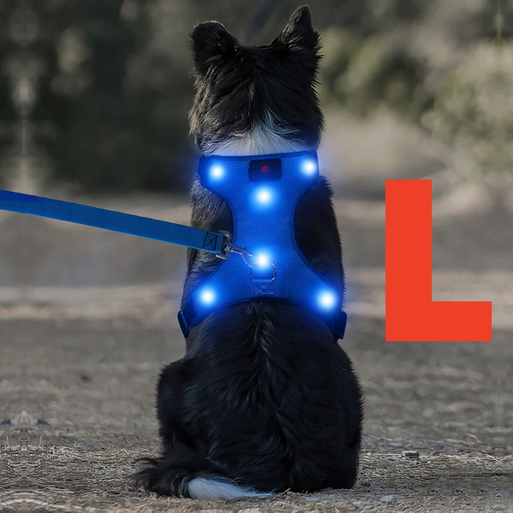 Light Up LED Dog Harness - No Pull Rechargeable Dog Vest with Detachable Battery, Washable Nylon Harness for Nighttime Walking & Camping, Multi-Color Options for Small Medium Large Dogs, Reflective Safety Features, Outdoor Pe