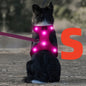 Light Up LED Dog Harness - No Pull Rechargeable Dog Vest with Detachable Battery, Washable Nylon Harness for Nighttime Walking & Camping, Multi-Color Options for Small Medium Large Dogs, Reflective Safety Features, Outdoor Pe