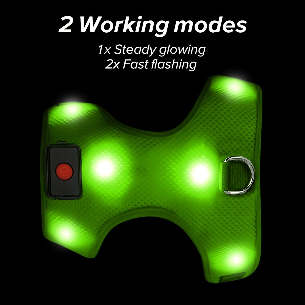 Light Up LED Dog Harness - No Pull Rechargeable Dog Vest with Detachable Battery, Washable Nylon Harness for Nighttime Walking & Camping, Multi-Color Options for Small Medium Large Dogs, Reflective Safety Features, Outdoor Pe