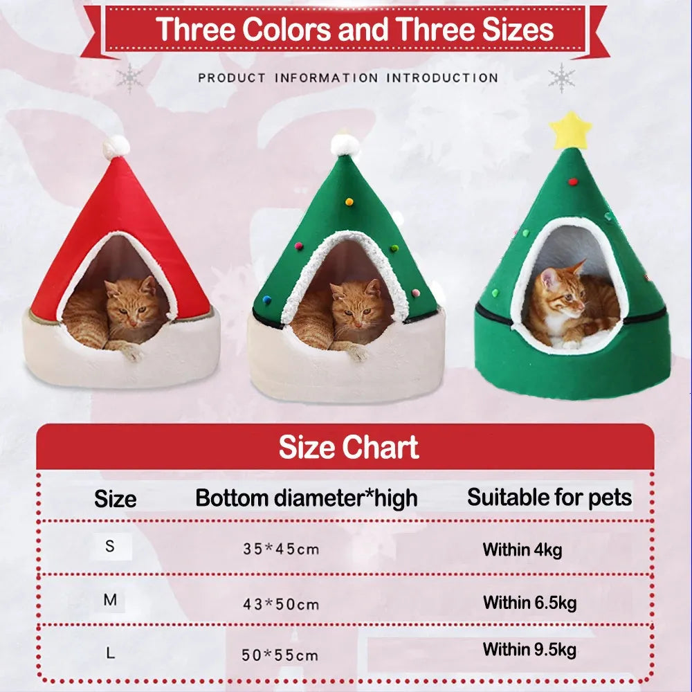 Christmas Tree Litter