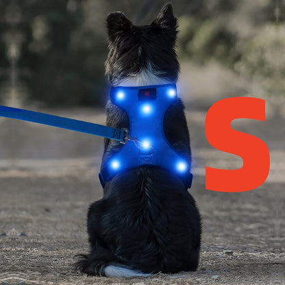 Light Up LED Dog Harness - No Pull Rechargeable Dog Vest with Detachable Battery, Washable Nylon Harness for Nighttime Walking & Camping, Multi-Color Options for Small Medium Large Dogs, Reflective Safety Features, Outdoor Pe