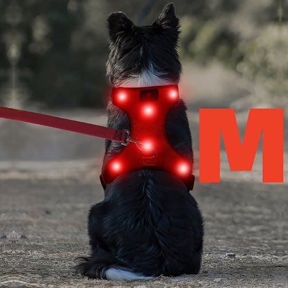 Light Up LED Dog Harness - No Pull Rechargeable Dog Vest with Detachable Battery, Washable Nylon Harness for Nighttime Walking & Camping, Multi-Color Options for Small Medium Large Dogs, Reflective Safety Features, Outdoor Pe