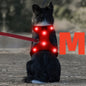 Light Up LED Dog Harness - No Pull Rechargeable Dog Vest with Detachable Battery, Washable Nylon Harness for Nighttime Walking & Camping, Multi-Color Options for Small Medium Large Dogs, Reflective Safety Features, Outdoor Pe
