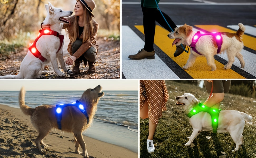 Light Up LED Dog Harness - No Pull Rechargeable Dog Vest with Detachable Battery, Washable Nylon Harness for Nighttime Walking & Camping, Multi-Color Options for Small Medium Large Dogs, Reflective Safety Features, Outdoor Pe